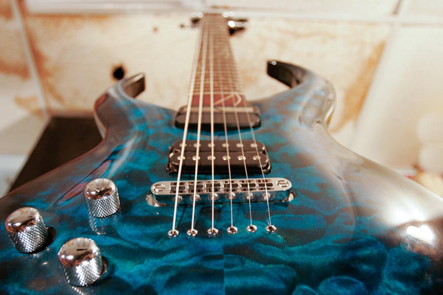 Underwater Creature Guitar Visionary Instruments